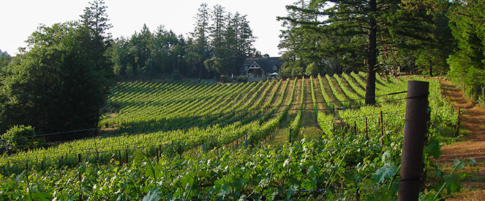 Sherwin Family Vineyards