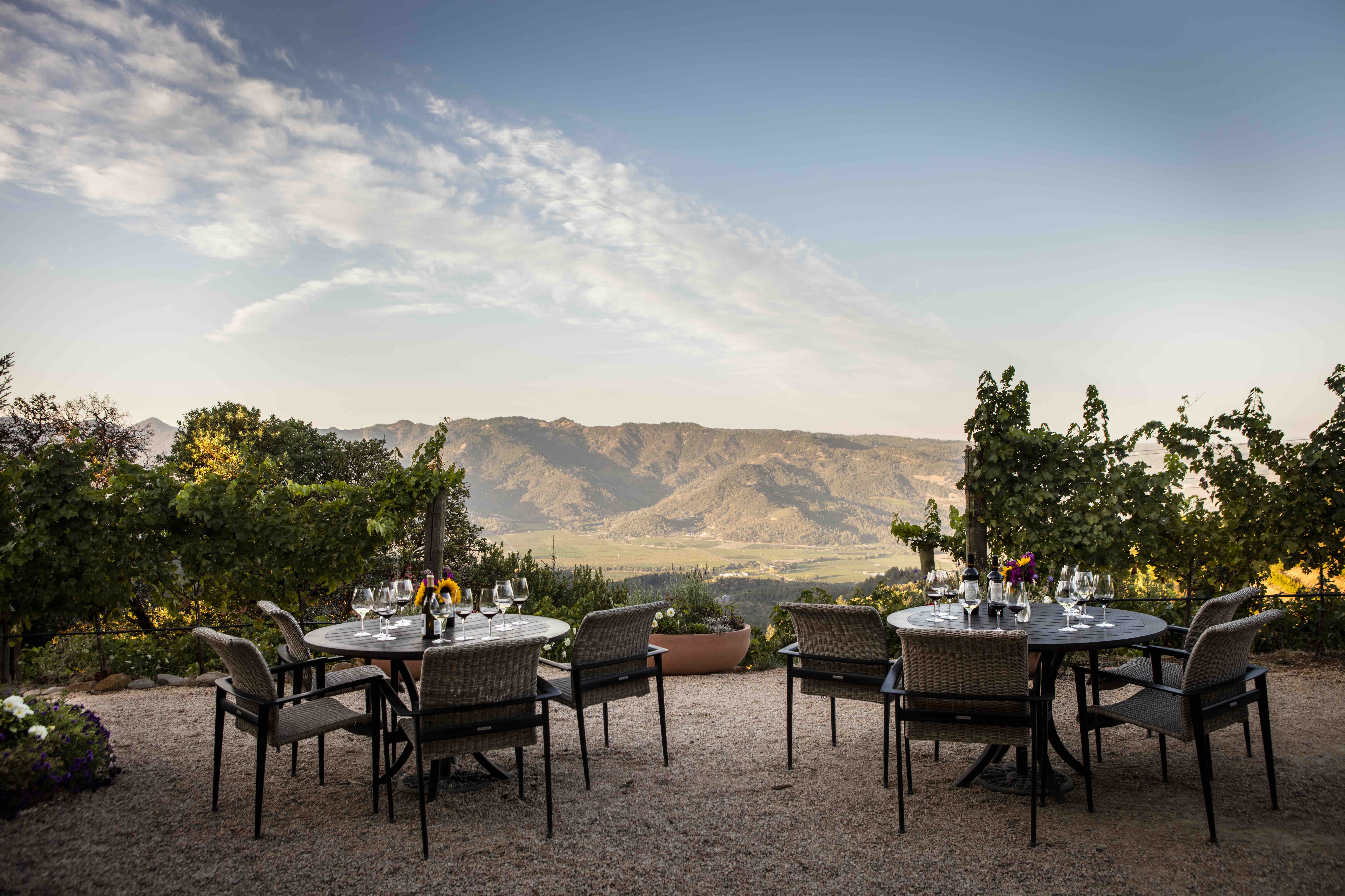 Barnett Vineyard Views 2