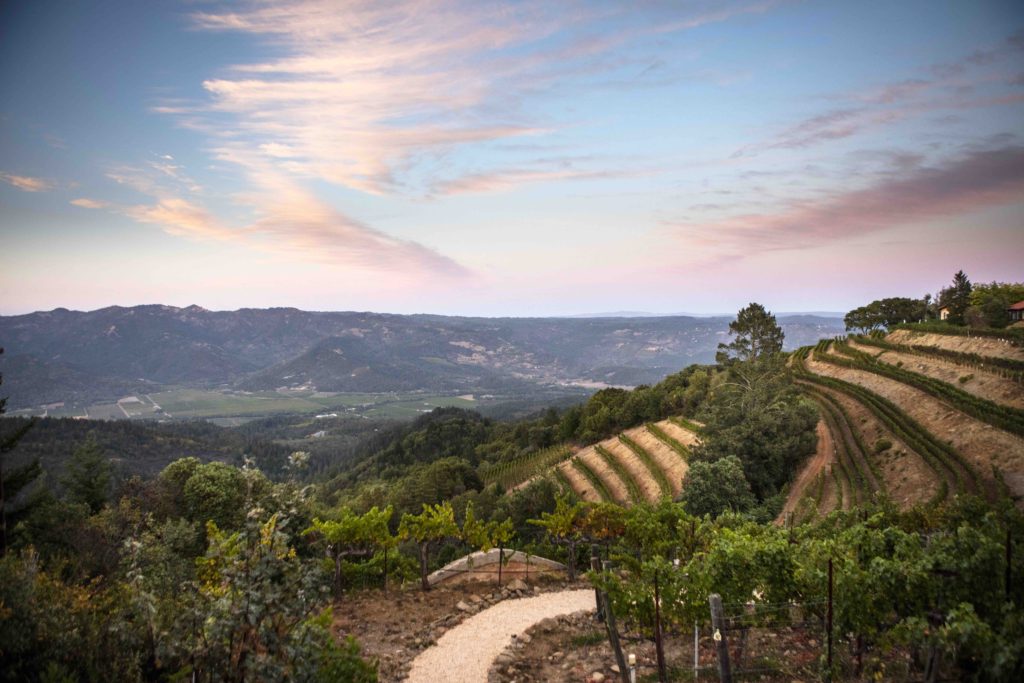 Barnett Vineyard Views 4