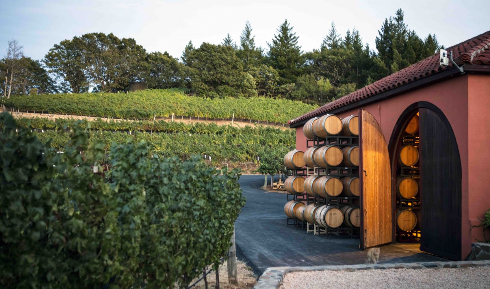Barnett Vineyard Winery2