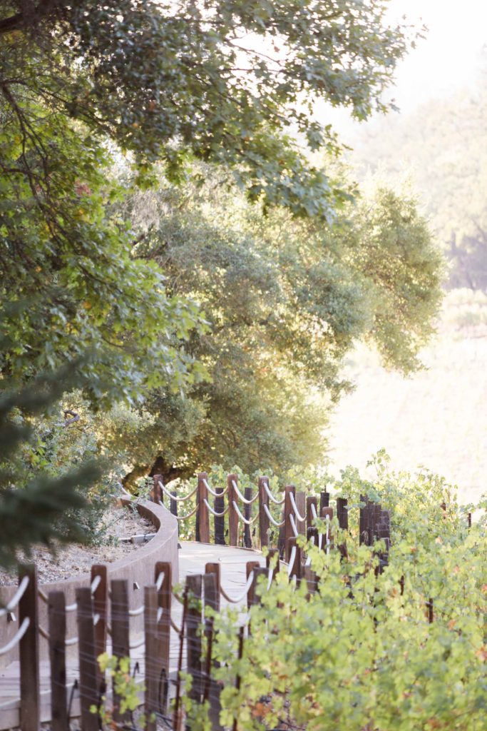 Fantesca Estate Vineyards