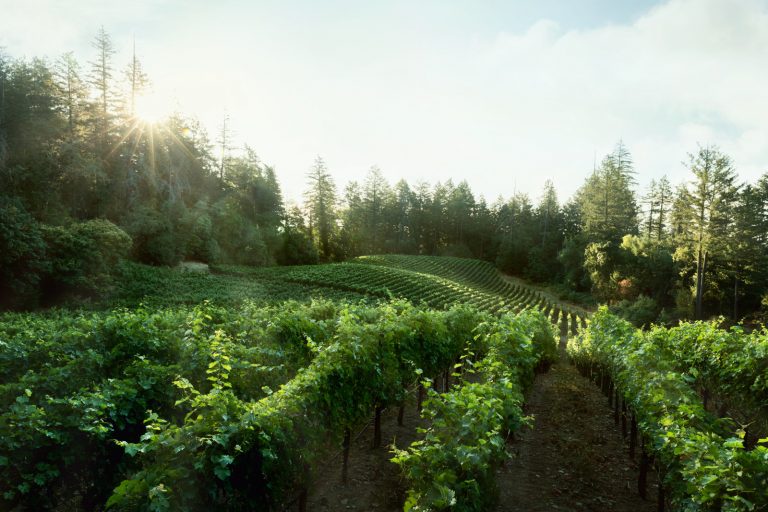 Lokoya Winery