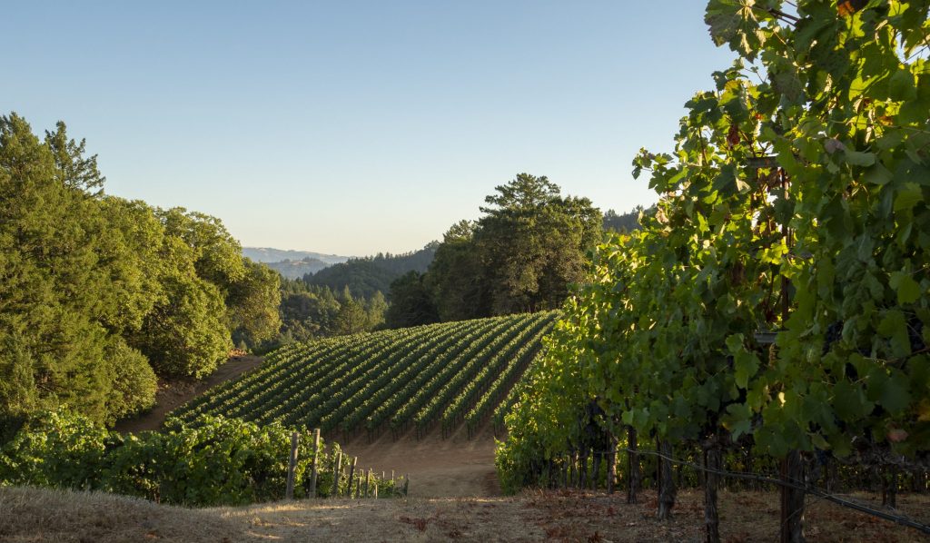 Pride Mountain Vineyards