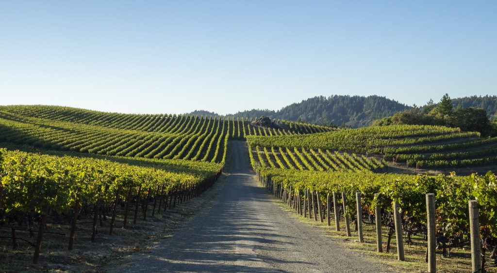 Pride Mountain Vineyards