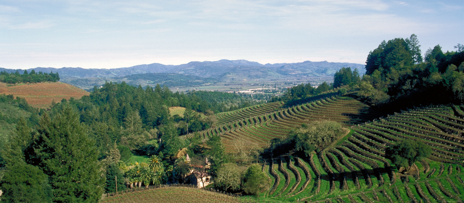 Spring Mountain Vineyard