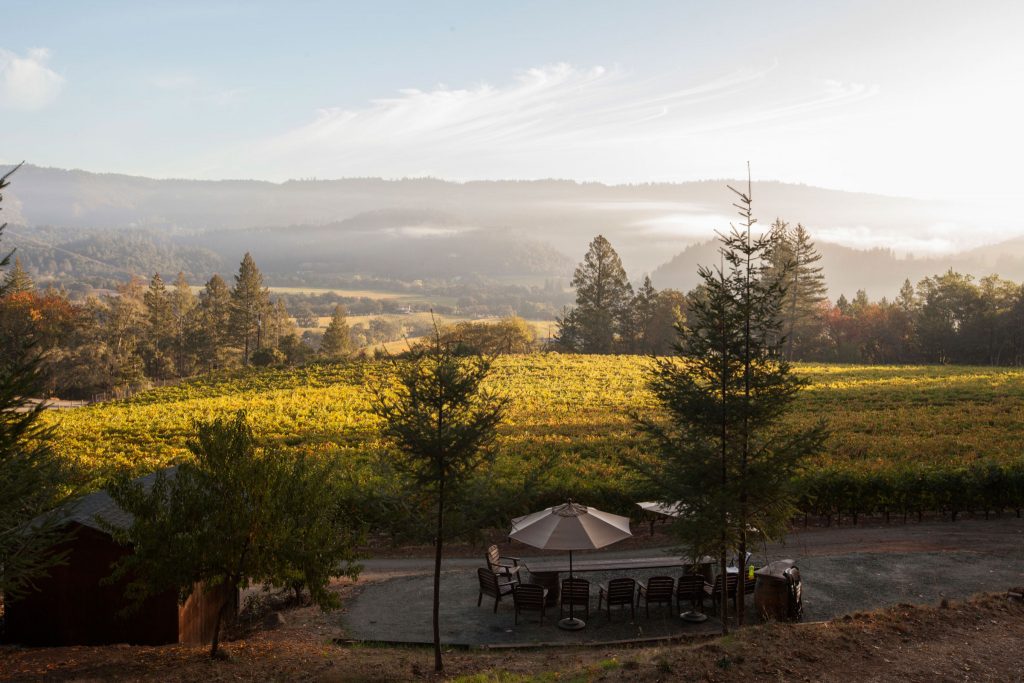 frias family vineyard