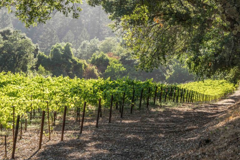 Wineries doing Curbside Pick-Up