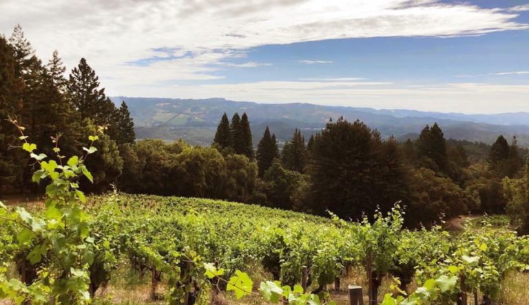 Stony Hill Vineyard under new ownership