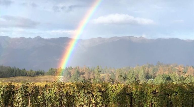 An Update from Paloma Vineyards
