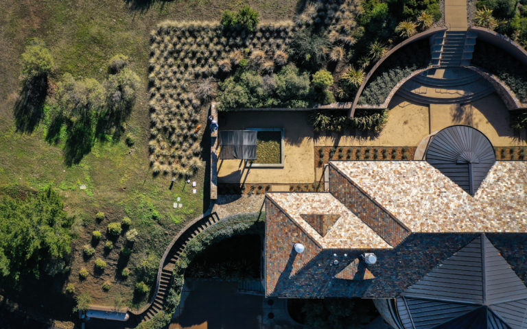 An update from Vineyard 7 & 8