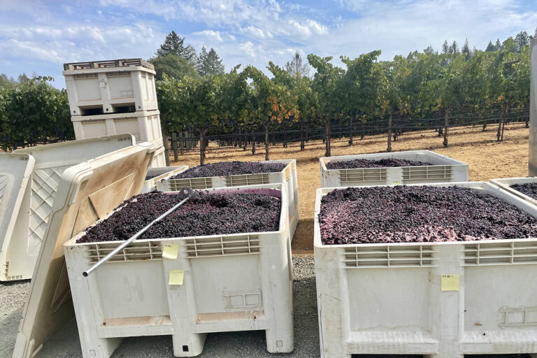 Final Harvest Report for 2021