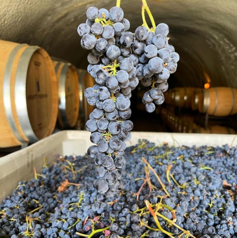Harvest Report – 28 September 2021