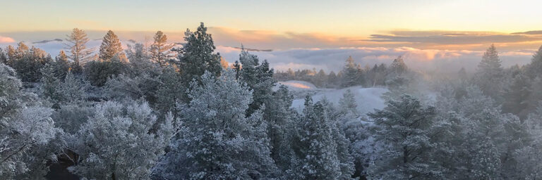 Pride Mountain Vineyards Holiday Selections