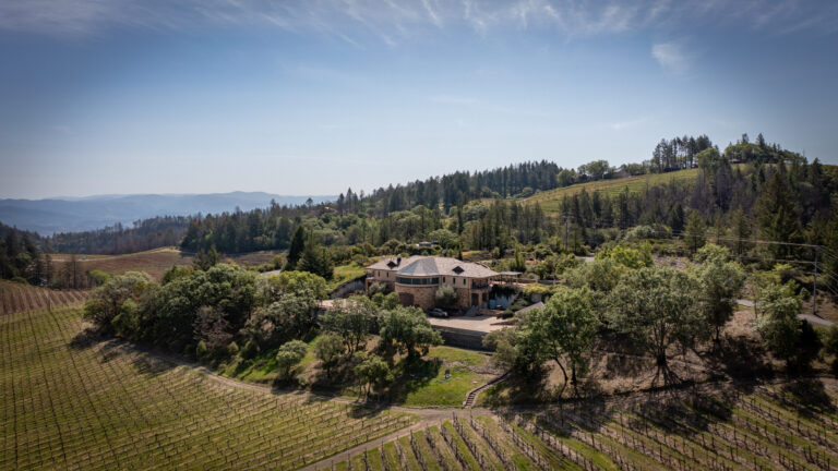 Wine & Photography