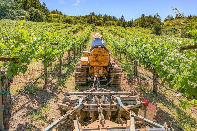 Harvest Report – 18 October 2023