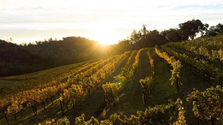 The Vines of St. Helena: Fantesca Estate & Winery
