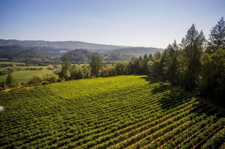 The Vines of St. Helena: Fernando Frias of Frias Family Vineyard